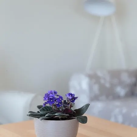 公寓 卡巴坤度假公寓